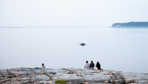 Parc marin du Saguenay–Saint-Laurent