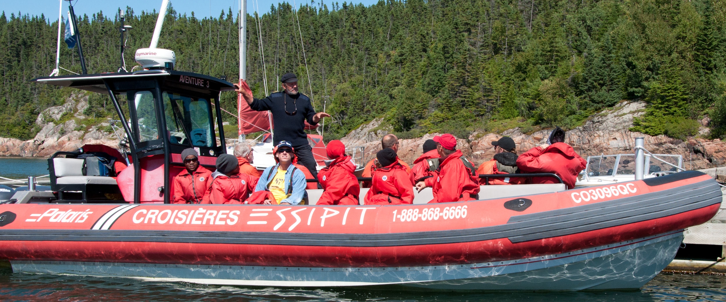 whale watching essipit cruise