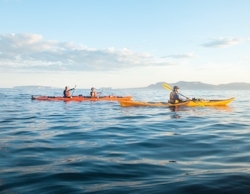 Guided sea kayaking excursions