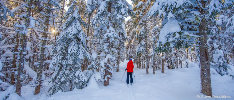 3 Good Reasons to Visit the Maritime Regions of Québec in the Winter ...